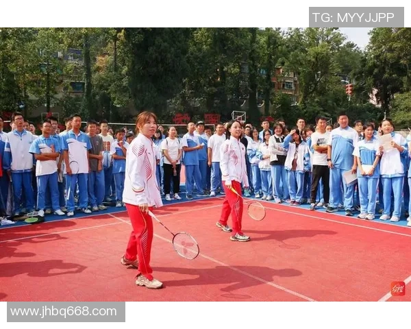 杨伟独家分享网球心得与技巧助你提升球技的秘诀与经验总结