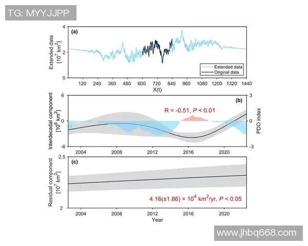 数据分析：西安排球队的团队协作表现